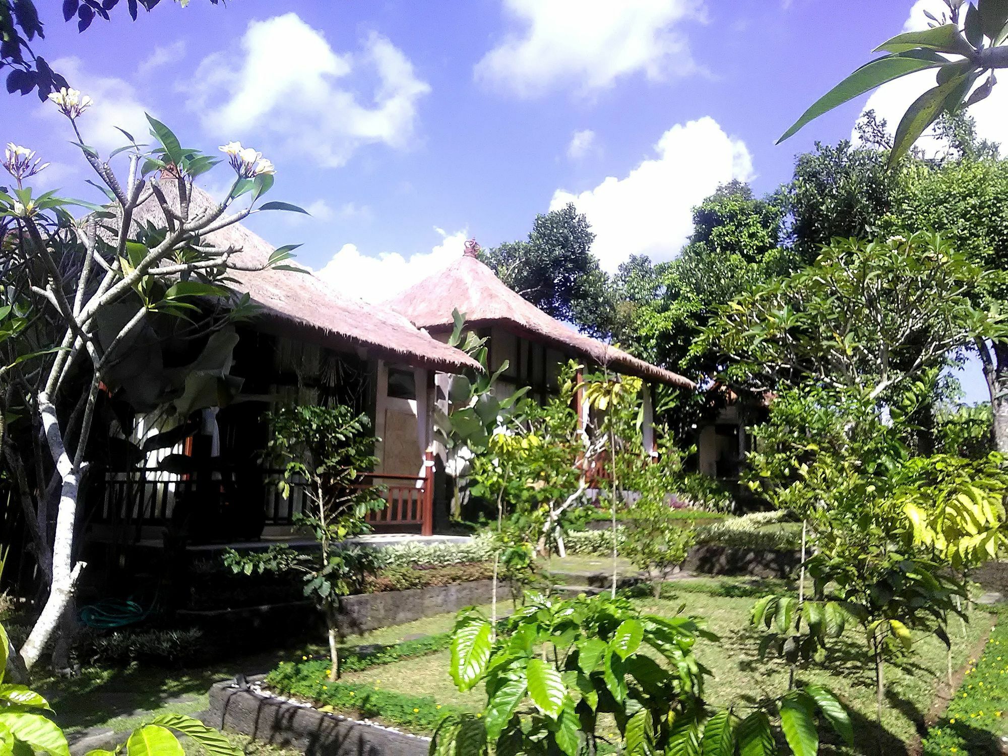 Astawa House Otel Ubud Dış mekan fotoğraf