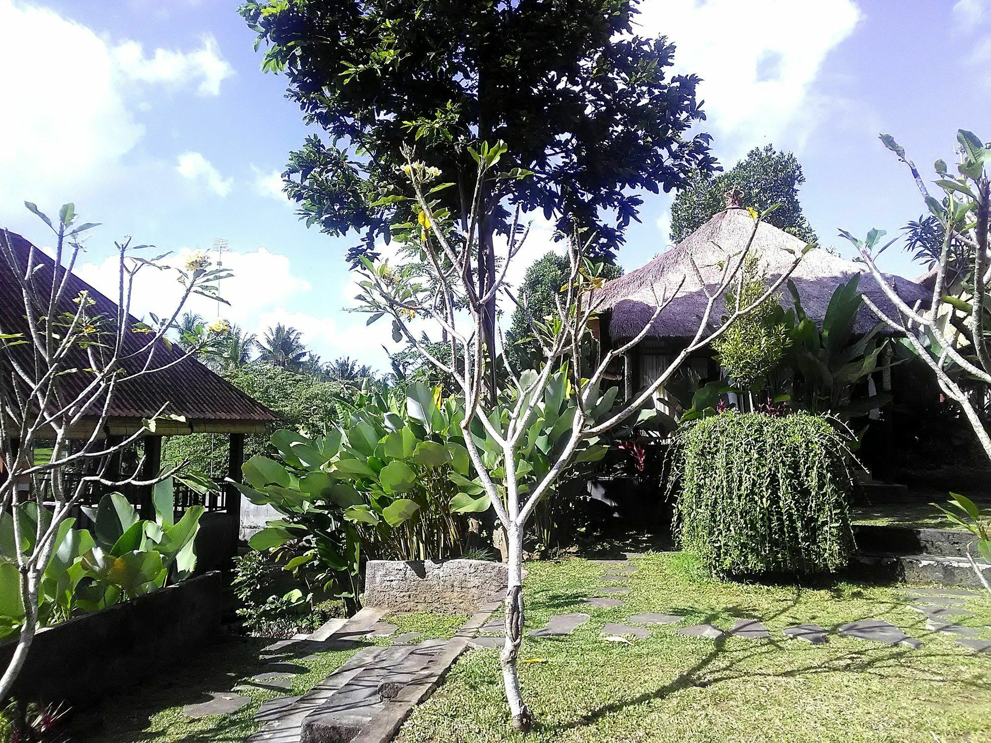 Astawa House Otel Ubud Dış mekan fotoğraf