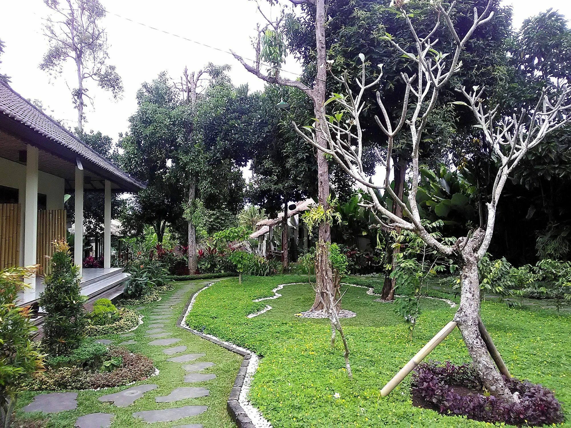 Astawa House Otel Ubud Dış mekan fotoğraf