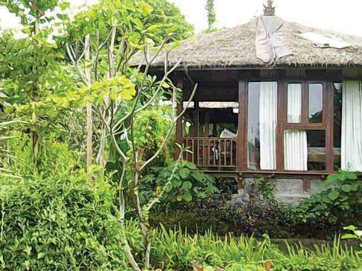 Astawa House Otel Ubud Dış mekan fotoğraf